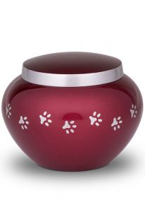 Red pet urn with gold coloured pawprints | Small