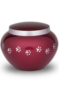 Red pet urn with gold coloured pawprints | Medium